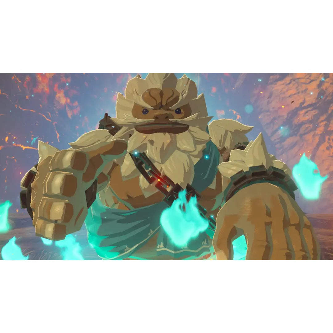 The Legend of Zelda: Breath of the Wild - Nintendo Switch (Region Free)